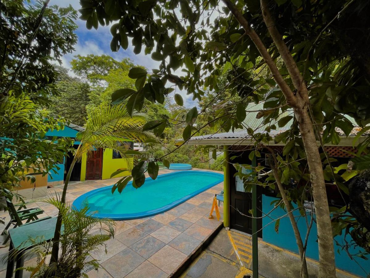 Los Amigos Jungle Hotel Tortuguero Luaran gambar