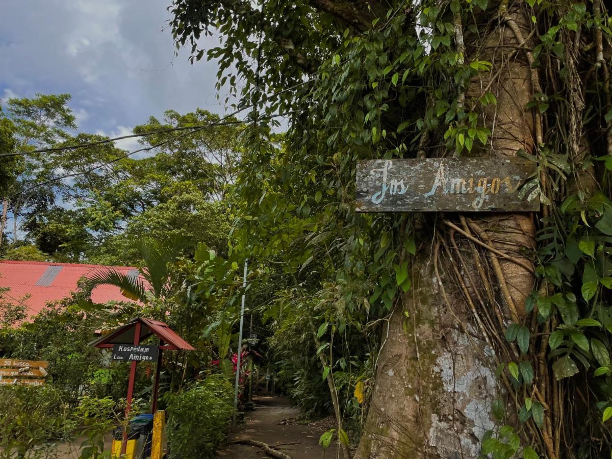 Los Amigos Jungle Hotel Tortuguero Luaran gambar