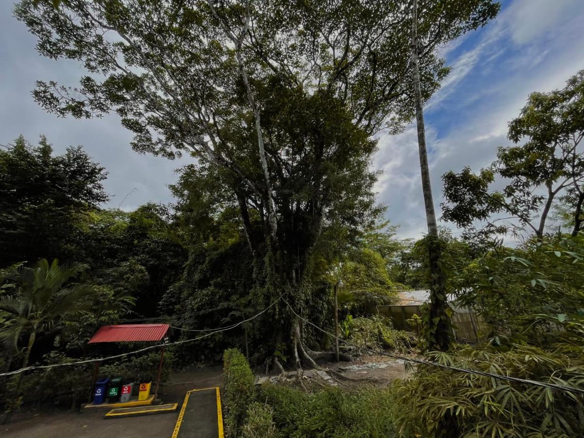 Los Amigos Jungle Hotel Tortuguero Luaran gambar