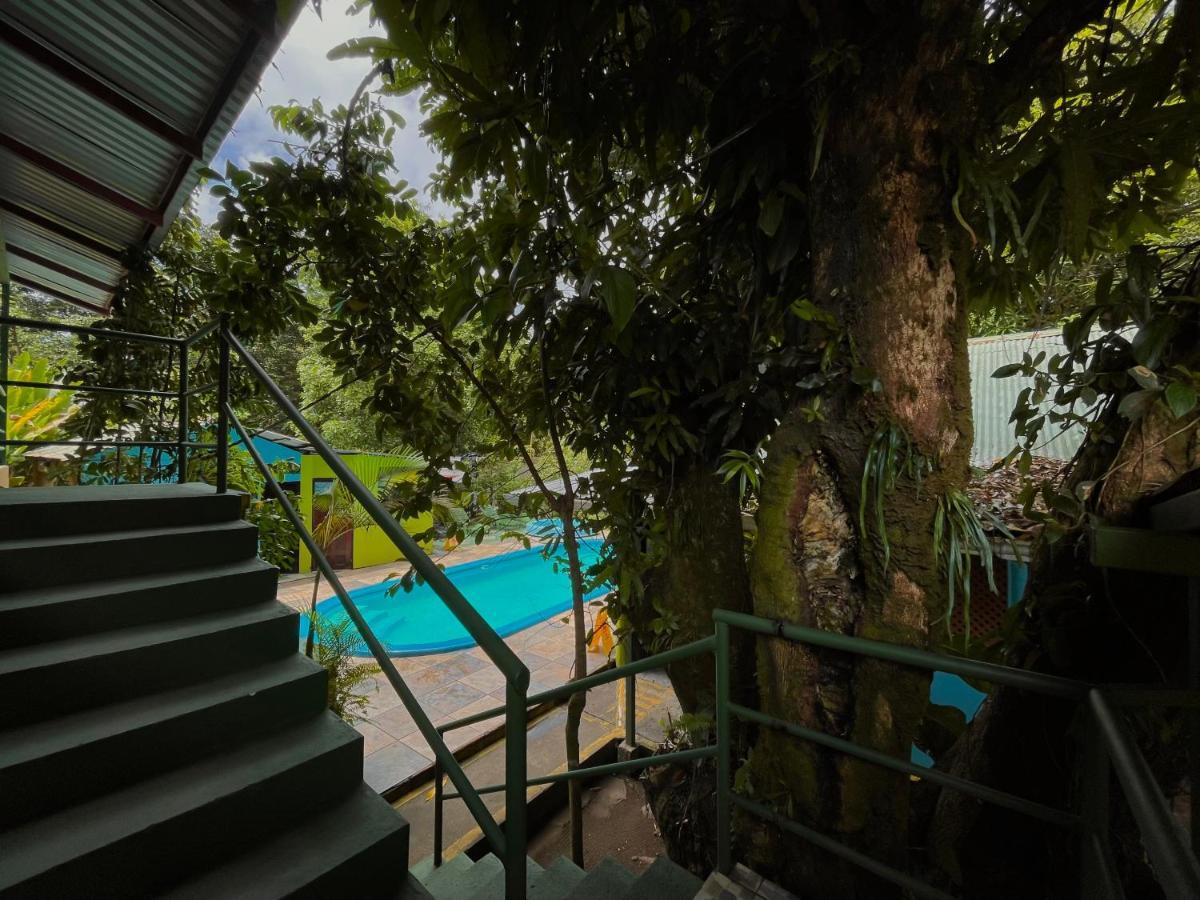 Los Amigos Jungle Hotel Tortuguero Luaran gambar
