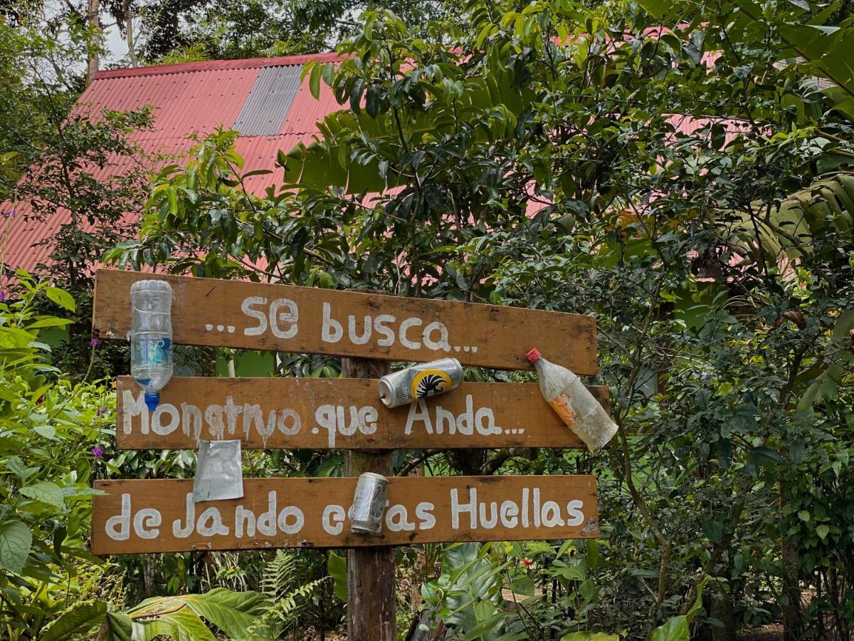 Los Amigos Jungle Hotel Tortuguero Luaran gambar