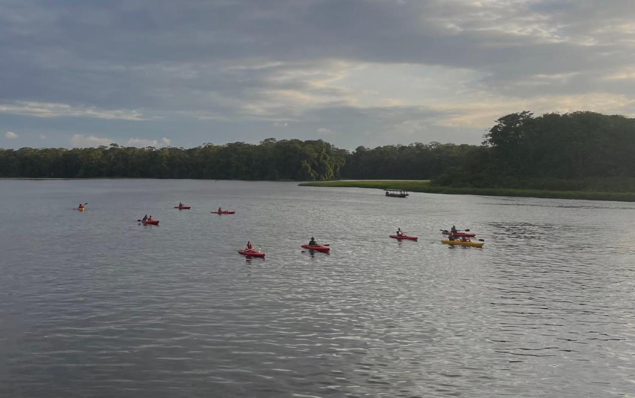 Los Amigos Jungle Hotel Tortuguero Luaran gambar